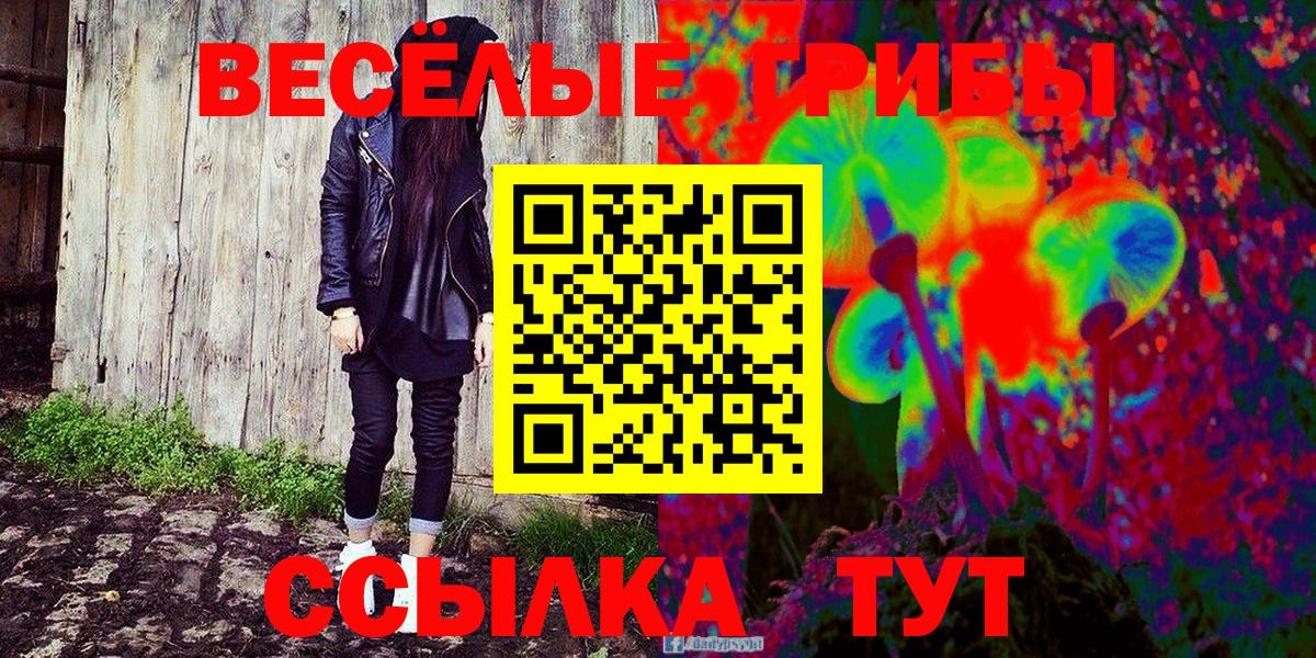 Тимашёвск  Галлюциногенные грибы мицелий  Вход с VPN 